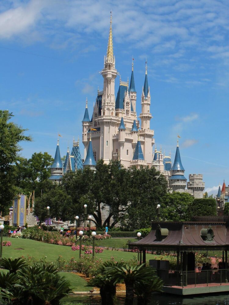 disney castle